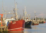 Boats In Marina