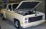 83 Chevy SNB Pickup