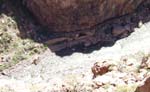 Arkansas River w/Kayaks