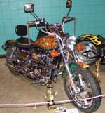 02 Harley Davidson Sportster Custom