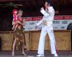 Elvis Presley Impersonator